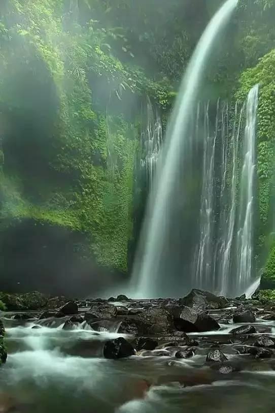召唤神龙万宁版祖龙