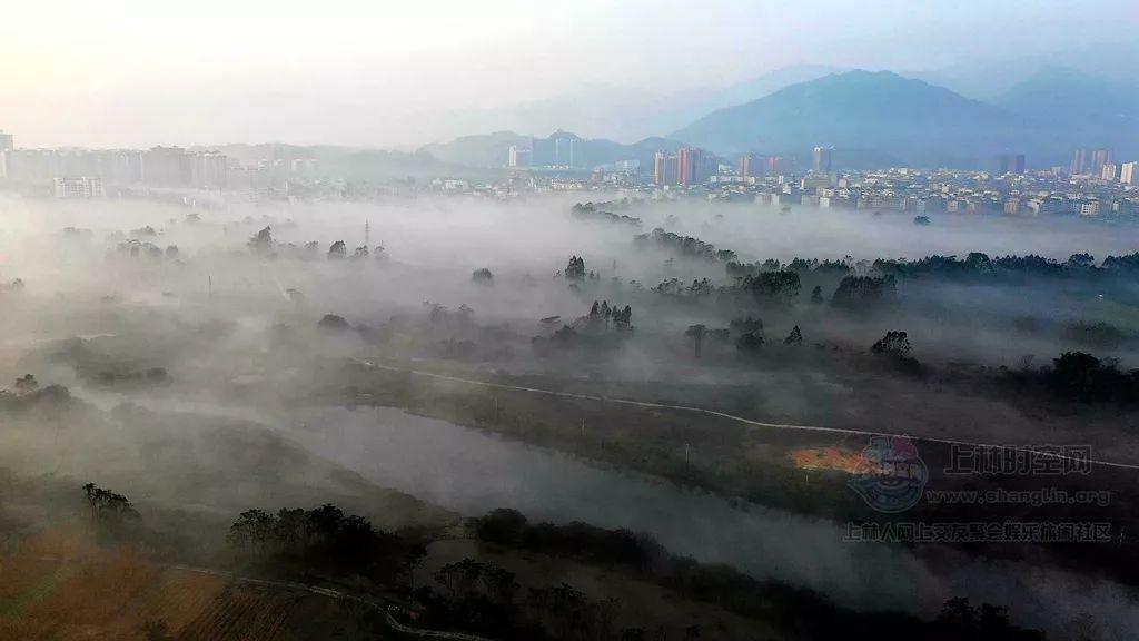 “鸽子肉”常吃有何好处?中医解析:或许能帮你缓解六种健康问题