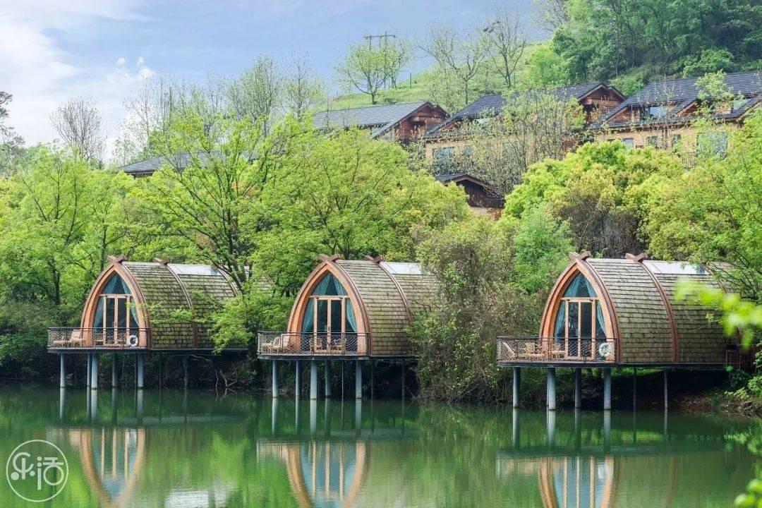 空气炸锅哪个牌子好?2024年度五大主流高能机型推荐!