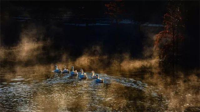 一场聚会，彻底戳穿了吴启华的“江湖地位”