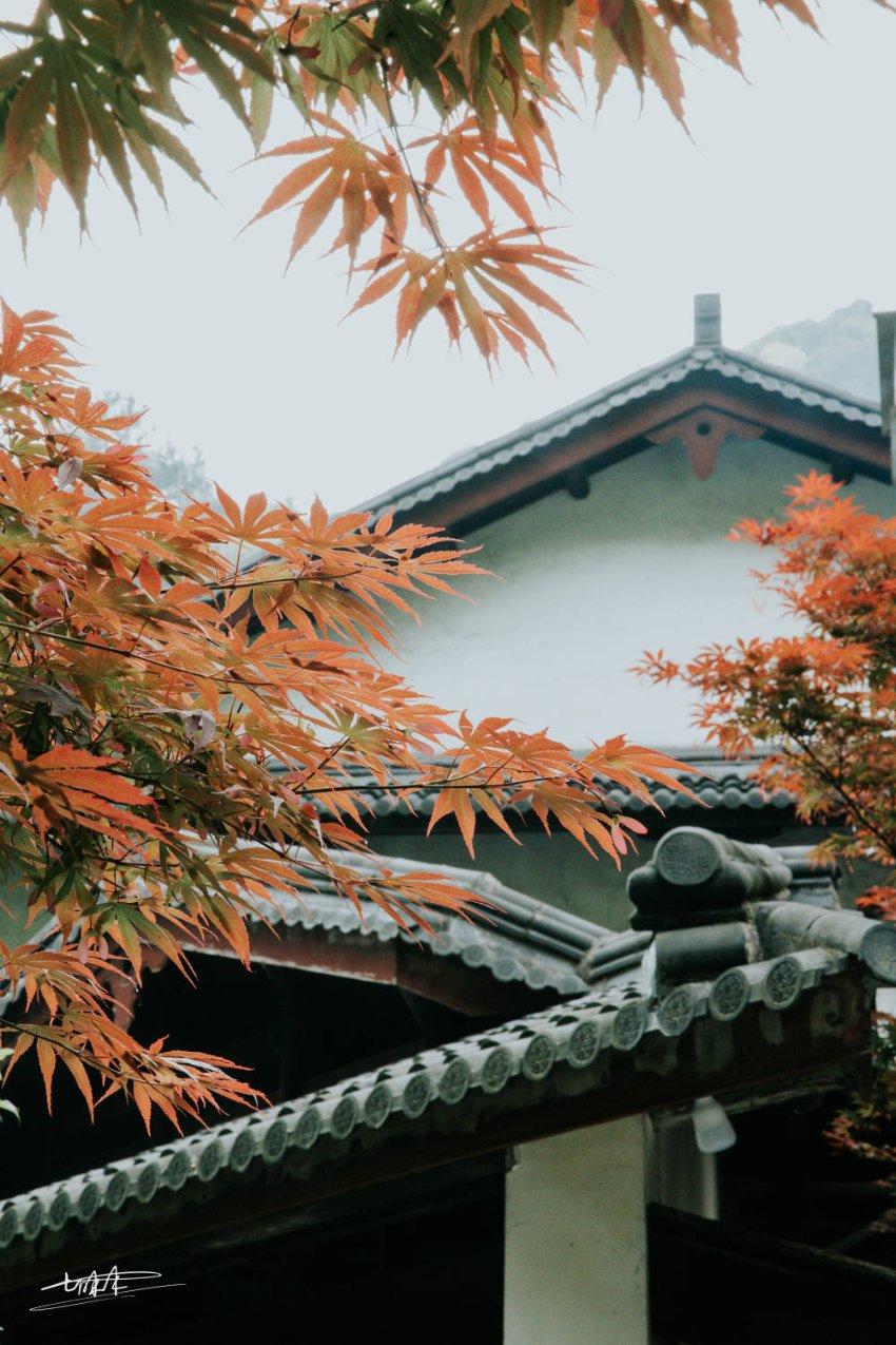 在校生逃脱