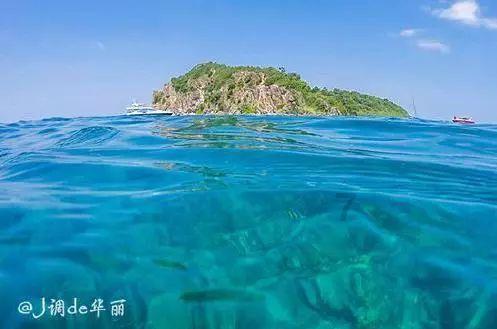 脑洞小老弟无实名认证