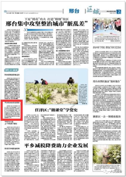 广东春天煲什么汤游戏画面