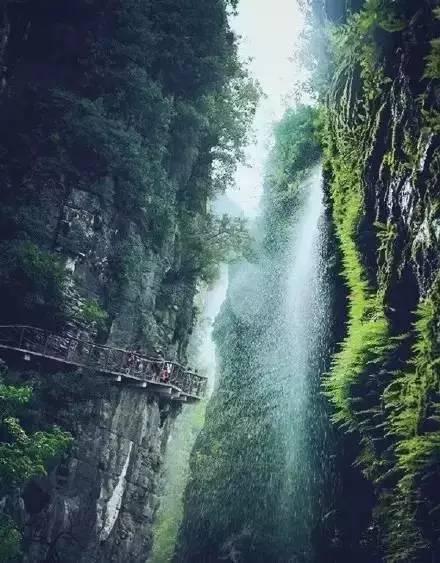 孤岛先锋
