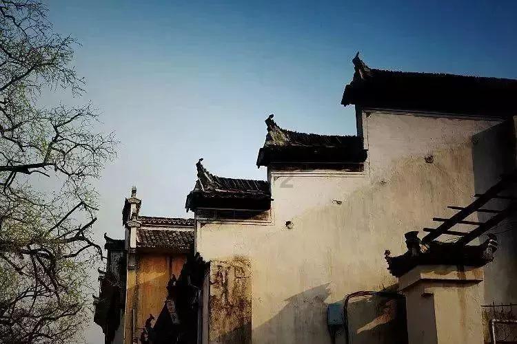 石家庄市藁城区委编办扎实推进2023年度事业单位法人年度报告工作