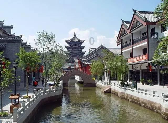 动物帮帮忙保卫家园