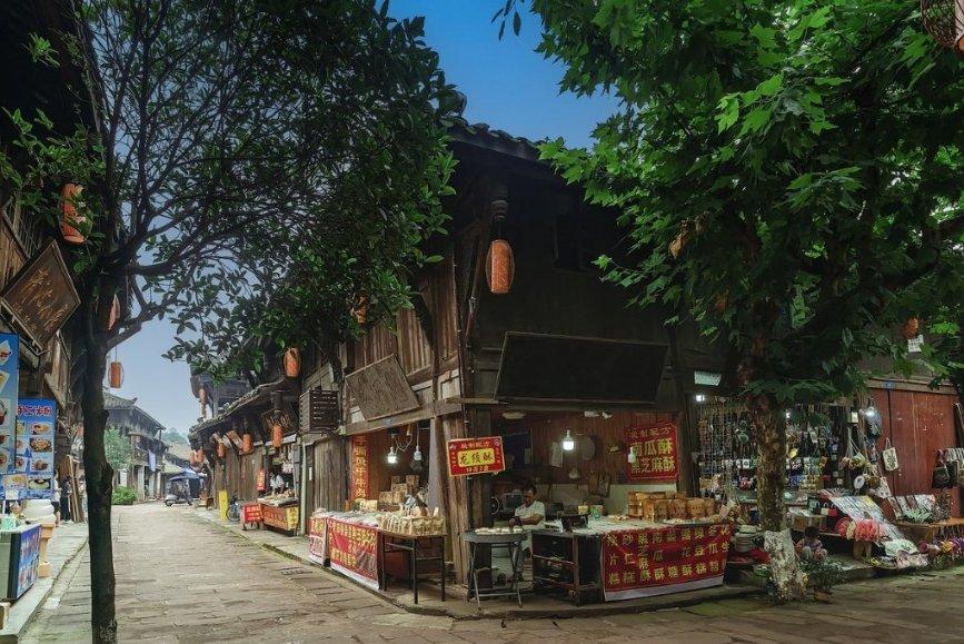 动物帮帮忙保卫家园